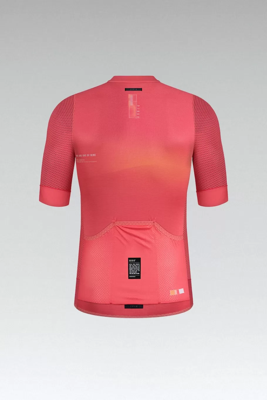 GOBIK Trikots | Carrera 2.0 Paradise
